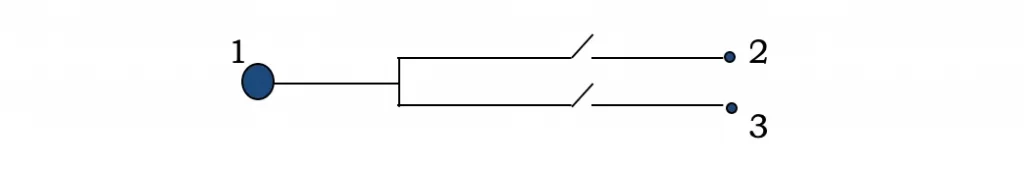 Schematic diagram of a double switch