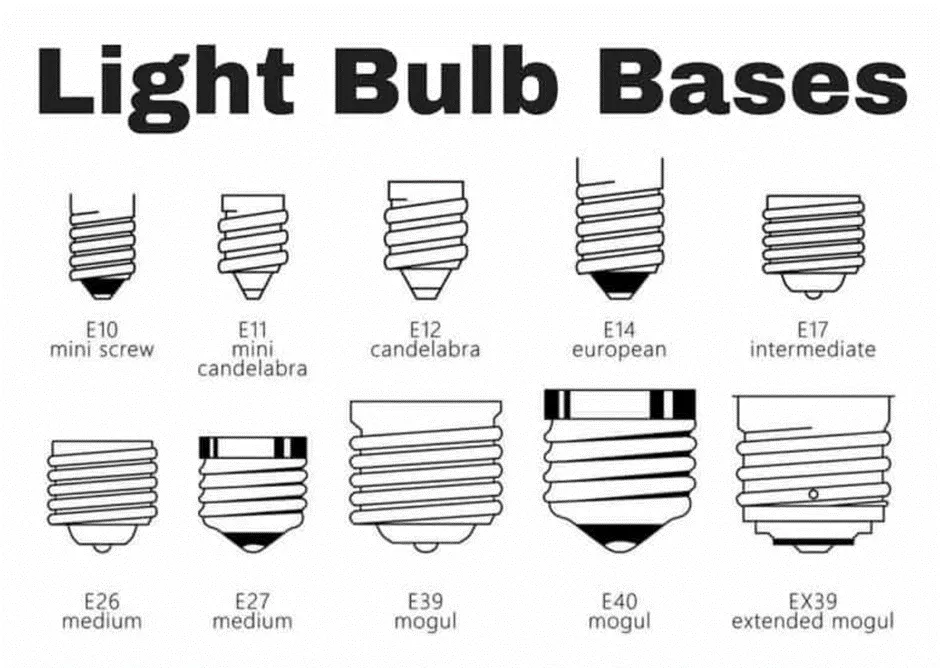 Different Sorts of Light Bulb Bases